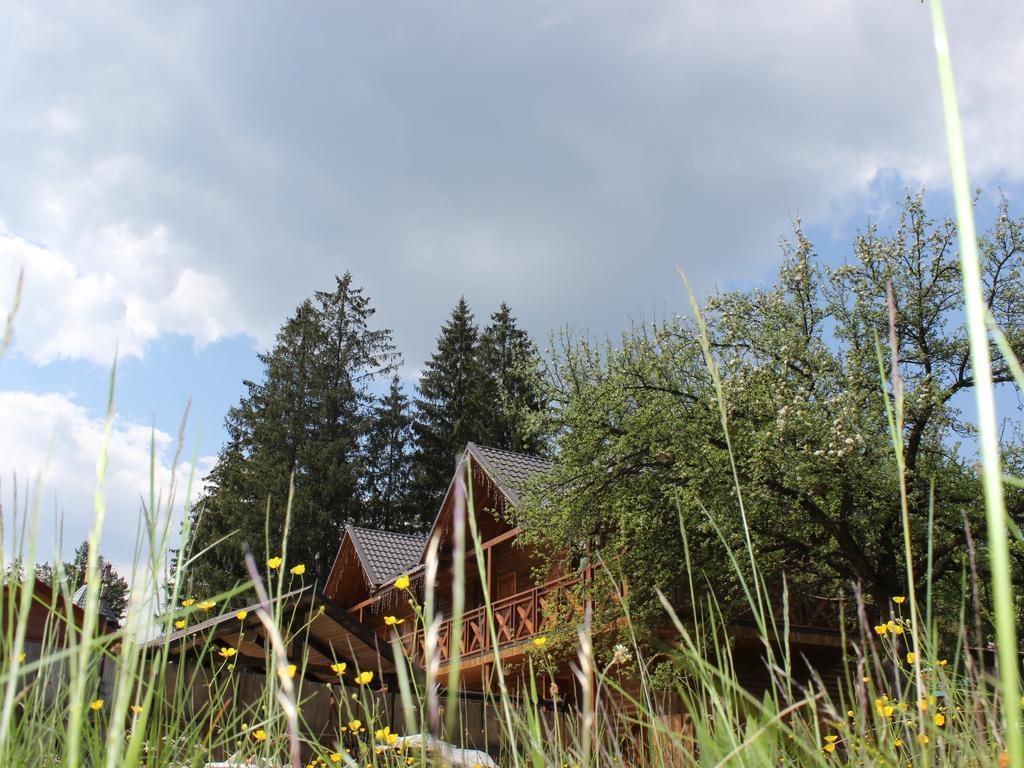 Hotel Krym Jaremče Esterno foto