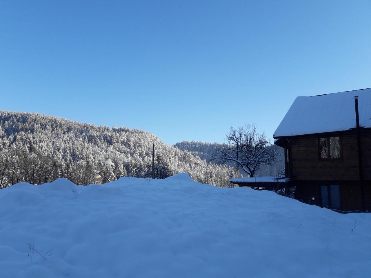 Hotel Krym Jaremče Esterno foto